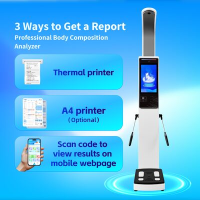 Body BMI Measuring and Human Body element Detection Body Composition Analyzer With Printer Fat Analyzing Machine