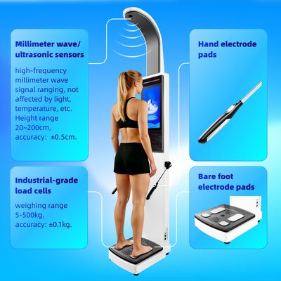 19 Inch Intelligent 8 Electrodes Body Analyzer Scale with Big LCD Display for Fitness Centers Gyms 