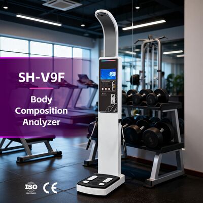 피트니스 센터 사용 신체 구성 분석 BMI 신체 지방 및 근육 스캔 신체 분석기 OEM 신체 분석기