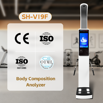 지능형 체성분 측정기 BMI 인체 저울 SH-V19F 체성분 분석기